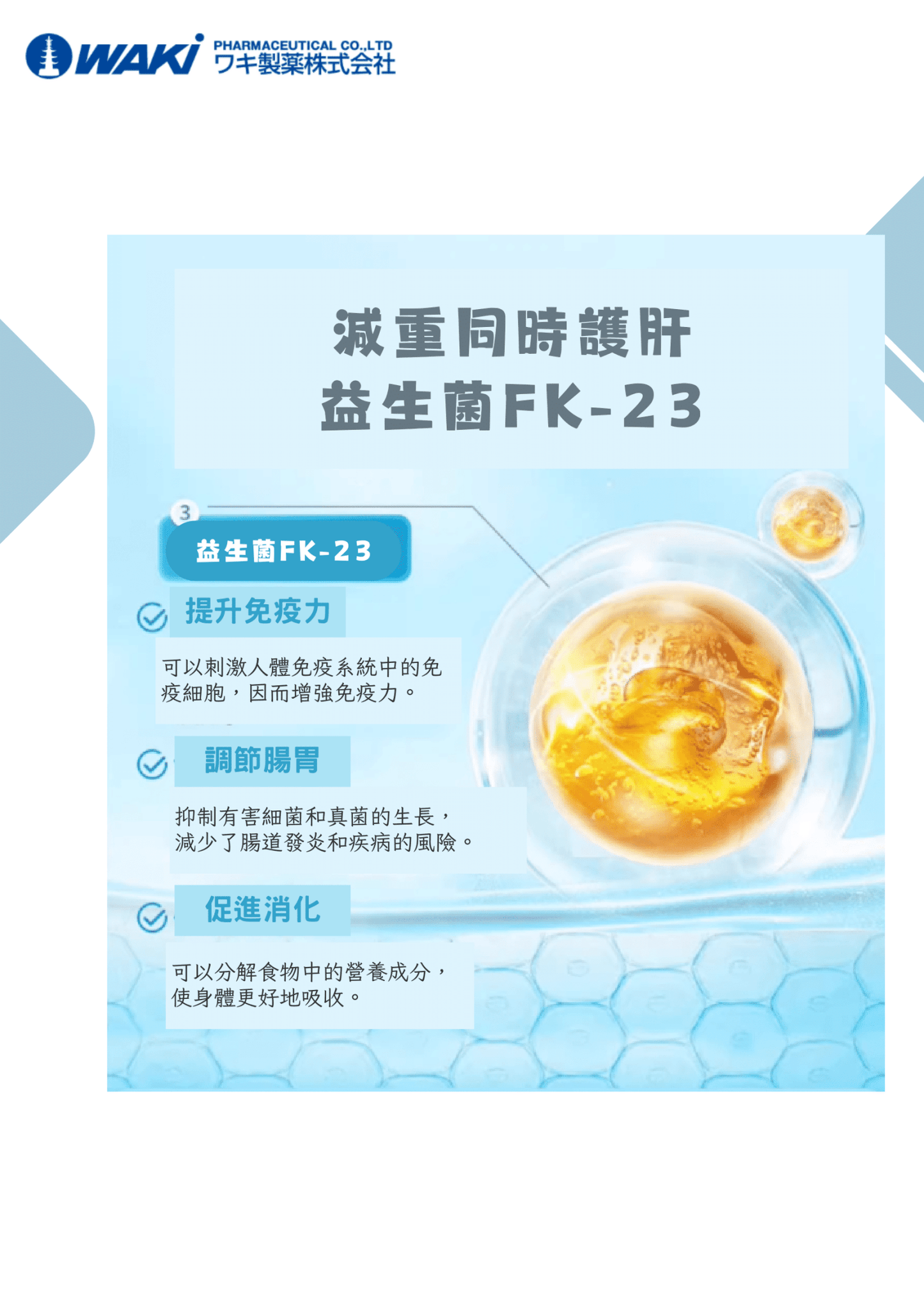 Vaty - VATY 燃脂益生菌 益生菌ガルシニア - 狙擊小肚子 高效燃脂 - 營養補充劑