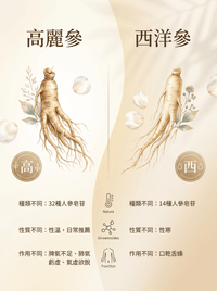 FOPIZ - Fopiz 人參皂苷氣血丸｜人參皂苷補氣 × 增活力護肝 × 天然氣血調理 × 抗氧化活力 × 全面提升健康 - 營養補充劑