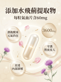 FOPIZ - Fopiz 人參皂苷氣血丸｜人參皂苷補氣 × 增活力護肝 × 天然氣血調理 × 抗氧化活力 × 全面提升健康 - 營養補充劑