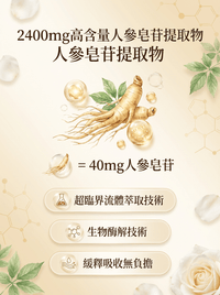 FOPIZ - Fopiz 人參皂苷氣血丸｜人參皂苷補氣 × 增活力護肝 × 天然氣血調理 × 抗氧化活力 × 全面提升健康 - 營養補充劑