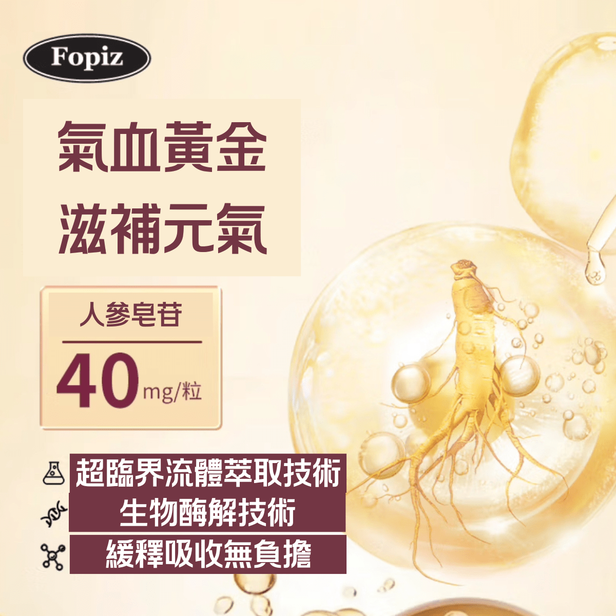 FOPIZ - Fopiz 人參皂苷氣血丸｜人參皂苷補氣 × 增活力護肝 × 天然氣血調理 × 抗氧化活力 × 全面提升健康 - 營養補充劑