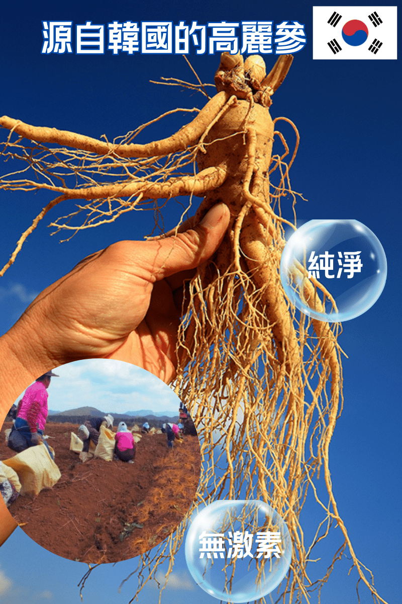 FOPIZ - Fopiz 人參皂苷氣血丸｜人參皂苷補氣 × 增活力護肝 × 天然氣血調理 × 抗氧化活力 × 全面提升健康 - 營養補充劑