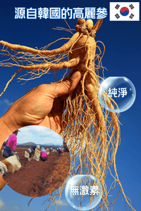 FOPIZ - Fopiz 人參皂苷氣血丸｜人參皂苷補氣 × 增活力護肝 × 天然氣血調理 × 抗氧化活力 × 全面提升健康 - 營養補充劑
