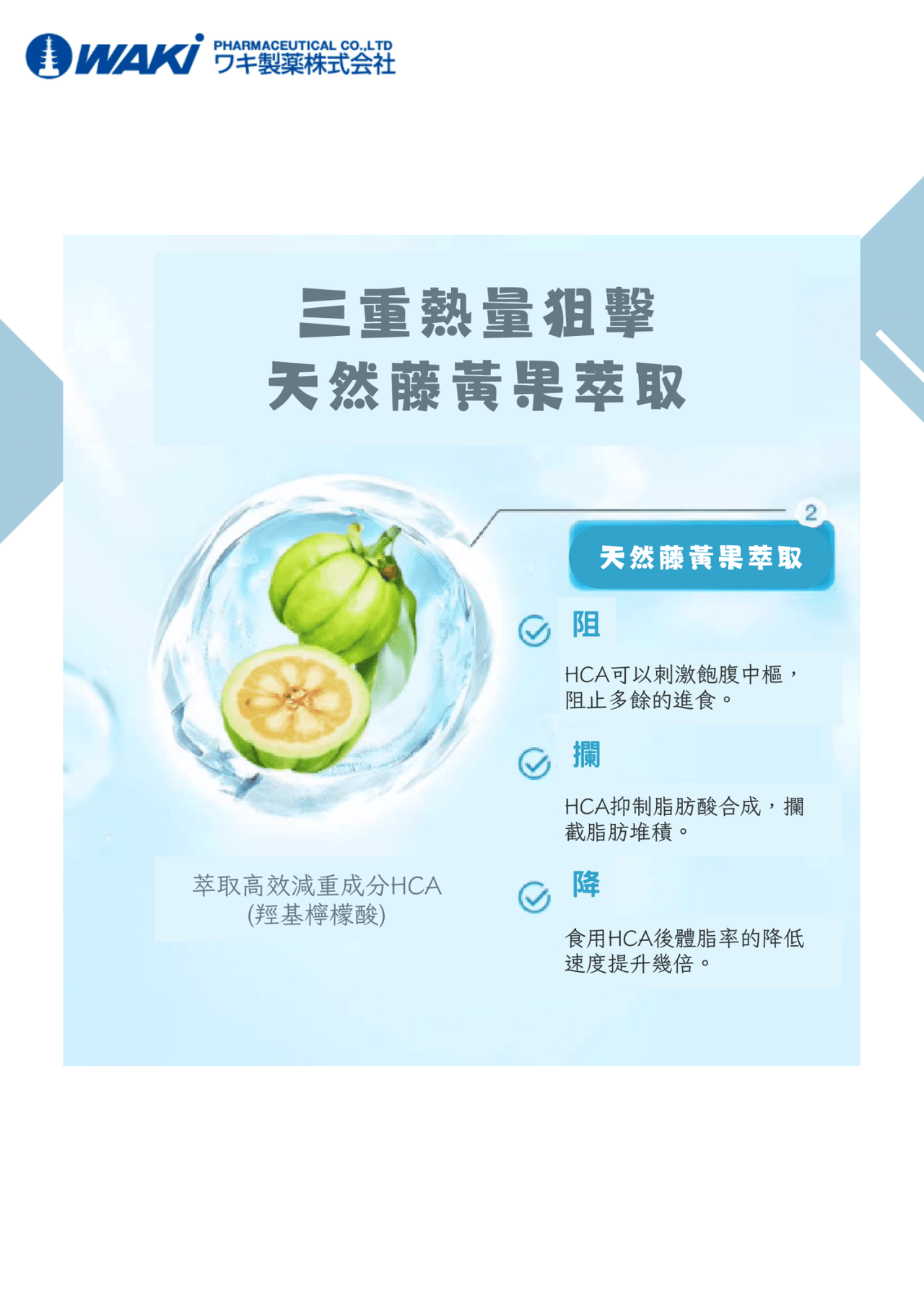Vaty - VATY 燃脂益生菌 益生菌ガルシニア - 狙擊小肚子 高效燃脂 - 營養補充劑