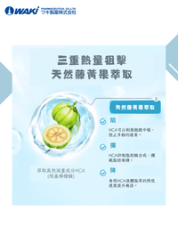 Vaty - VATY 燃脂益生菌 益生菌ガルシニア - 狙擊小肚子 高效燃脂 - 營養補充劑