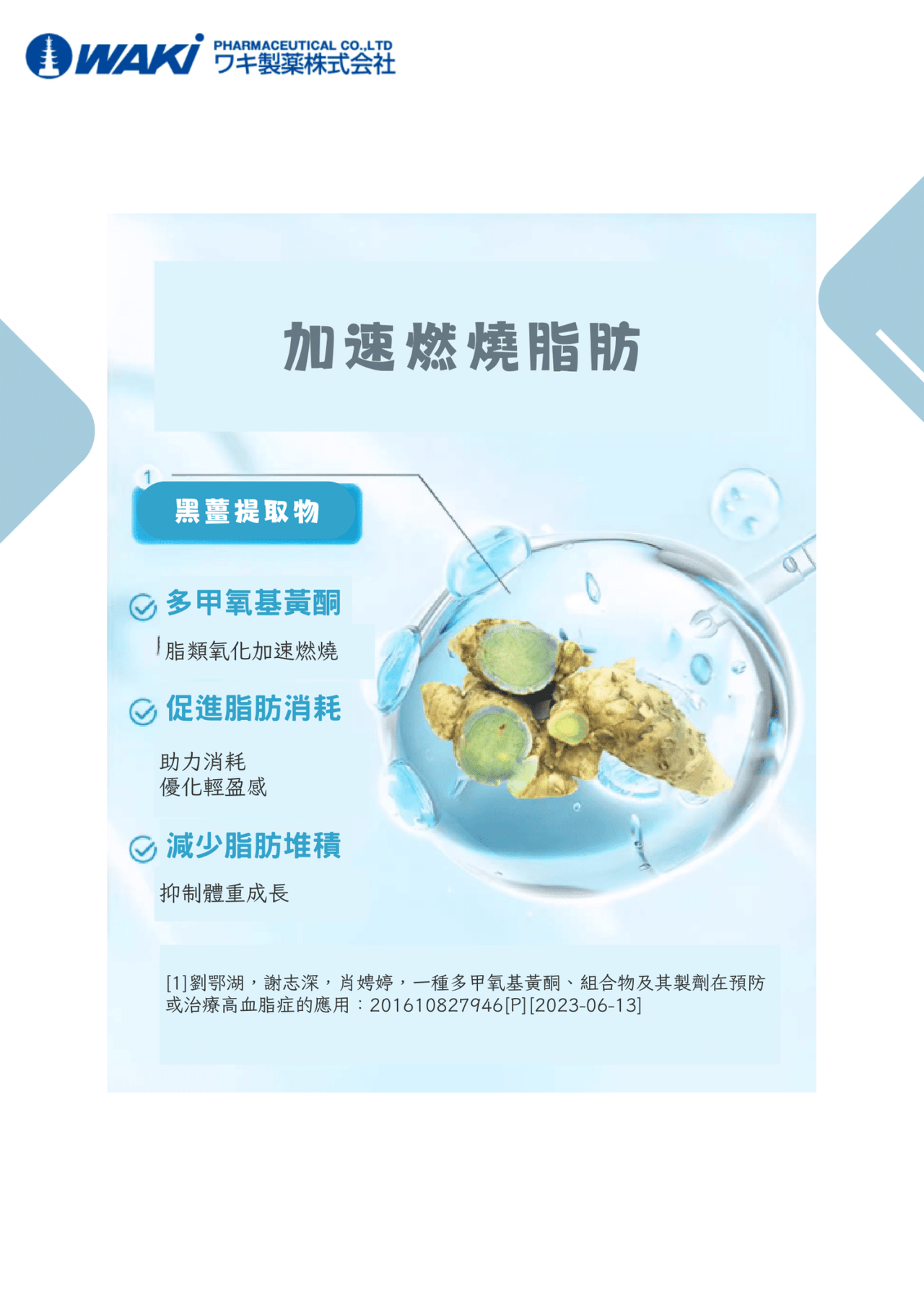 Vaty - VATY 燃脂益生菌 益生菌ガルシニア - 狙擊小肚子 高效燃脂 - 營養補充劑
