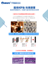 Waki - WAKi 菲爾莫生髮素 フェルモー FELMOO 喚醒沈睡頭皮 還你黑亮豐盈 - 營養補充劑